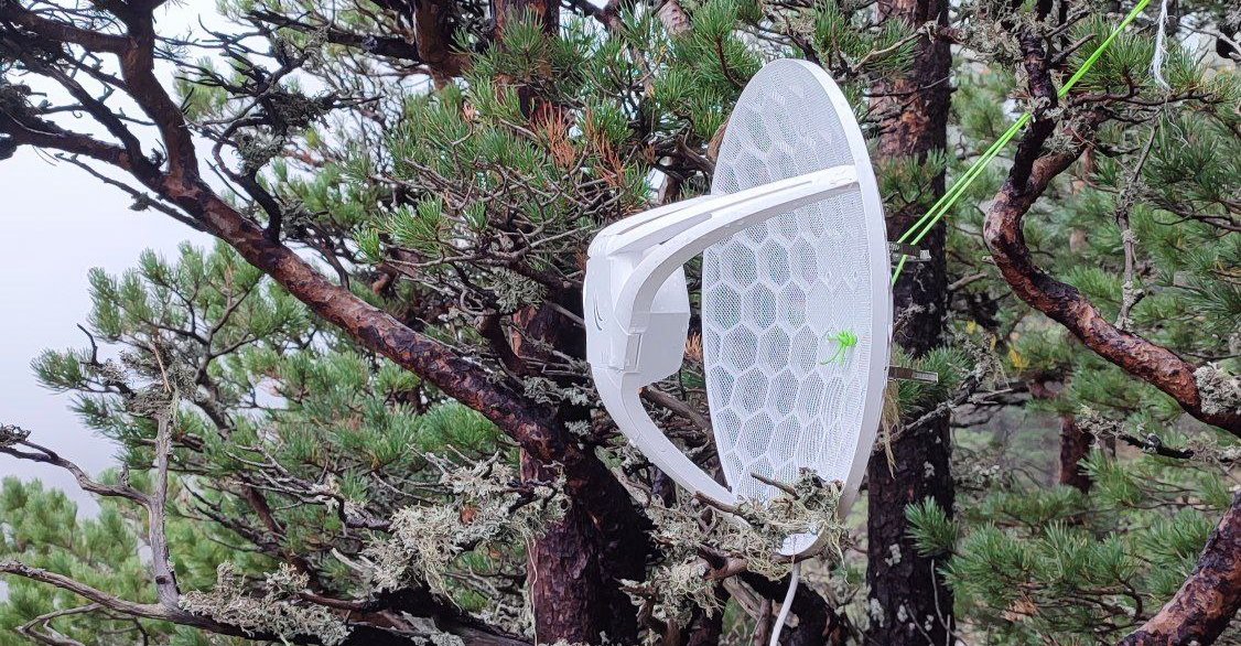 Калинин также установил тарелку для интернета. Фото: телеграм-канал «Логичный лесник»