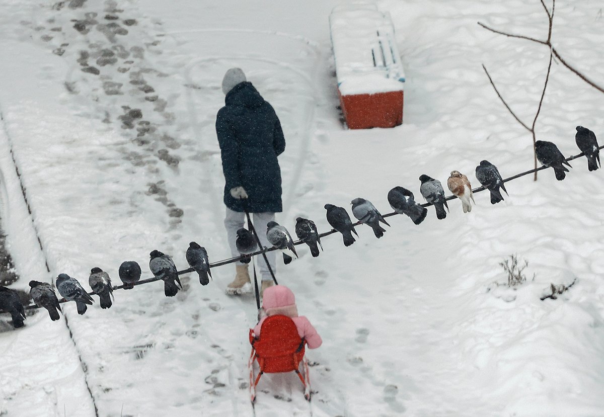 Киев, декабрь 2023 года. Фото: Sergey Dolzhenko / EPA-EFE