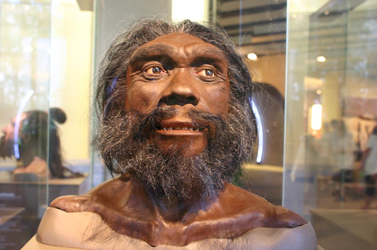 Homo heidelbergensis. Фото:  flickr