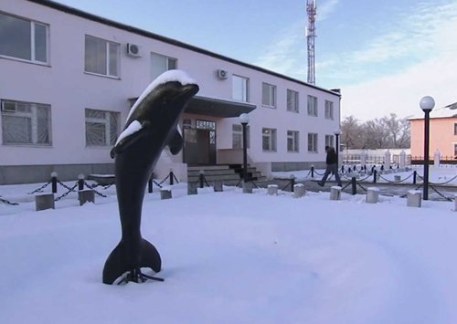 Гипсовая фигура, давшая название ИК № 6 «Черный дельфин». Фото: сайт ФСИН