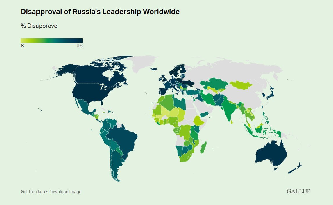 Скриншот: Gallup