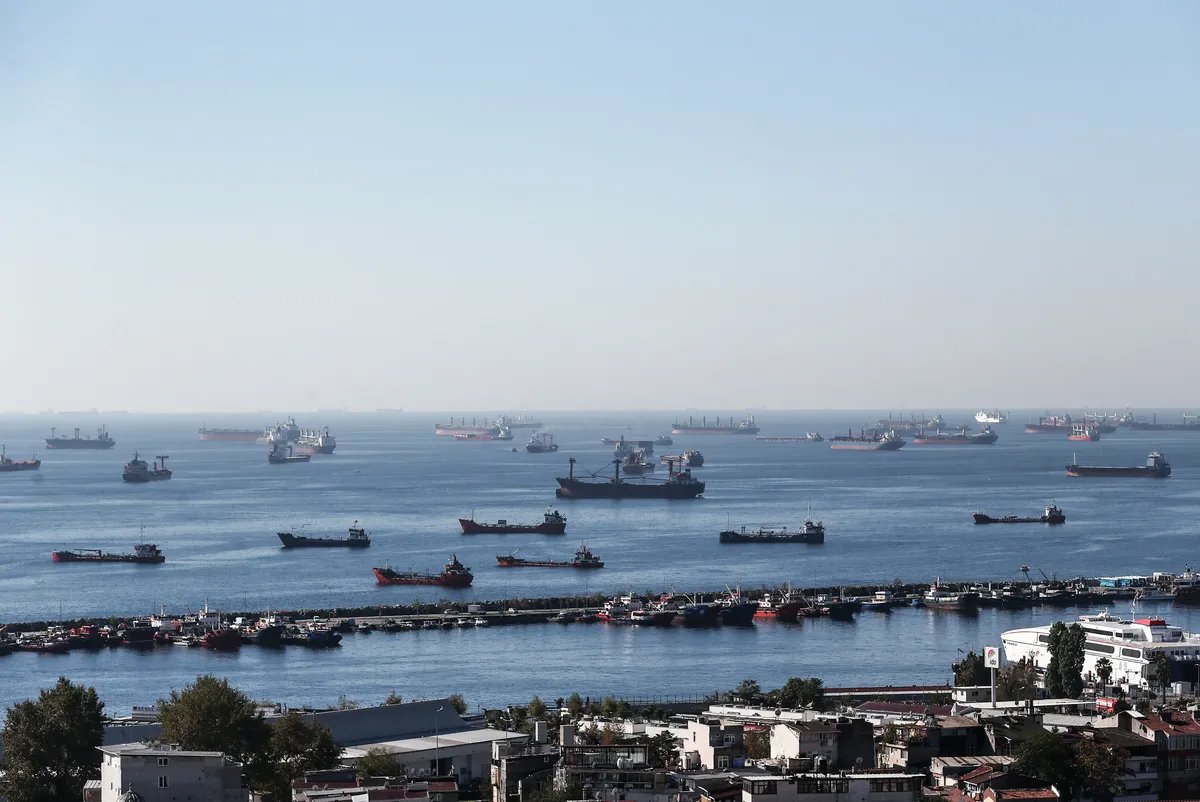 Cargo ships with Ukrainian grain awaiting inspection in the Marmara Sea. Istanbul, Turkey, 22 October 2022. Photo: EPA-EFE / ERDEM SAHIN