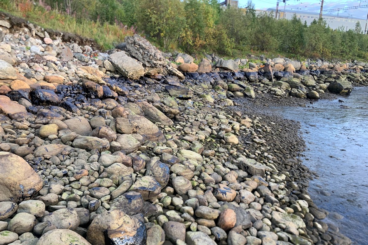 Фото: murmansk_dtp51 / VK