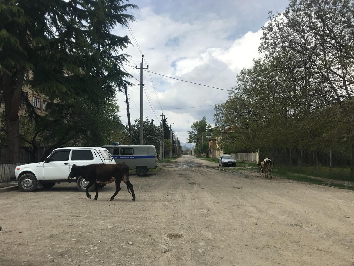 Ленингорский район. Фото: Ирина Гарина, специально для «Новой газеты Европа»