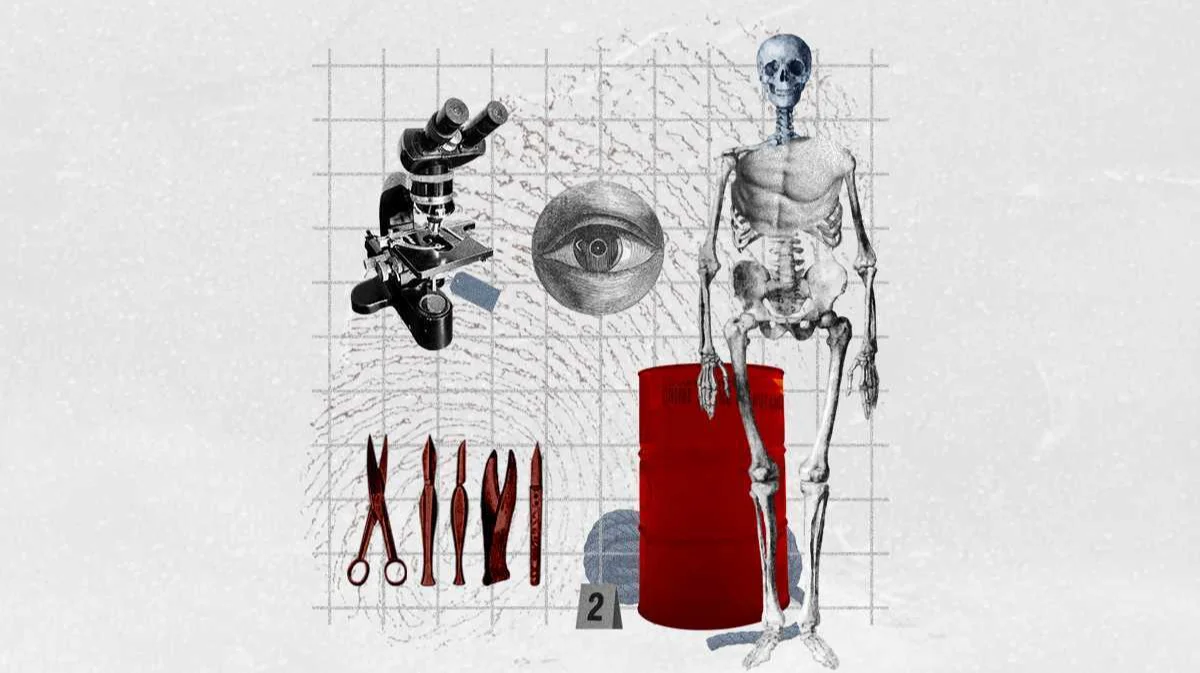 Иллюстрация: Rina Lu