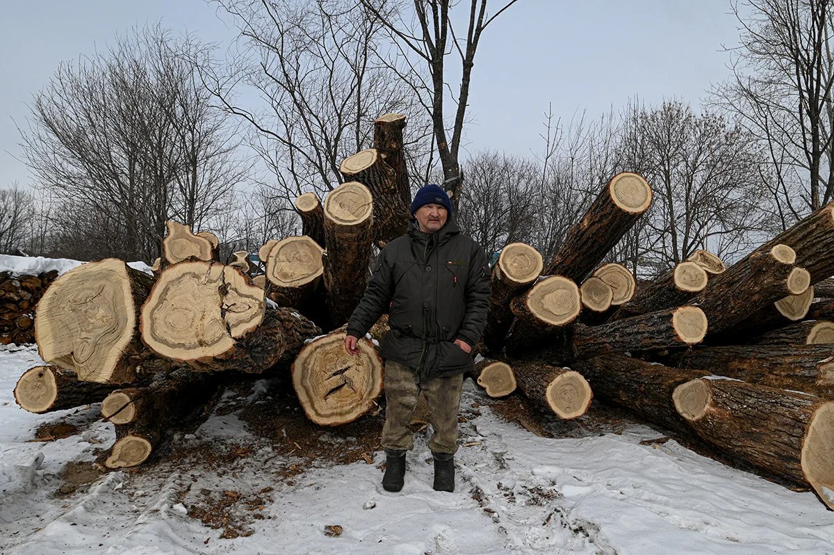 Igor Kyalundzyuga near a stack of oak wood in Arsenyevo. Photo by Irina Kravtsova / Novaya Gazeta Europe