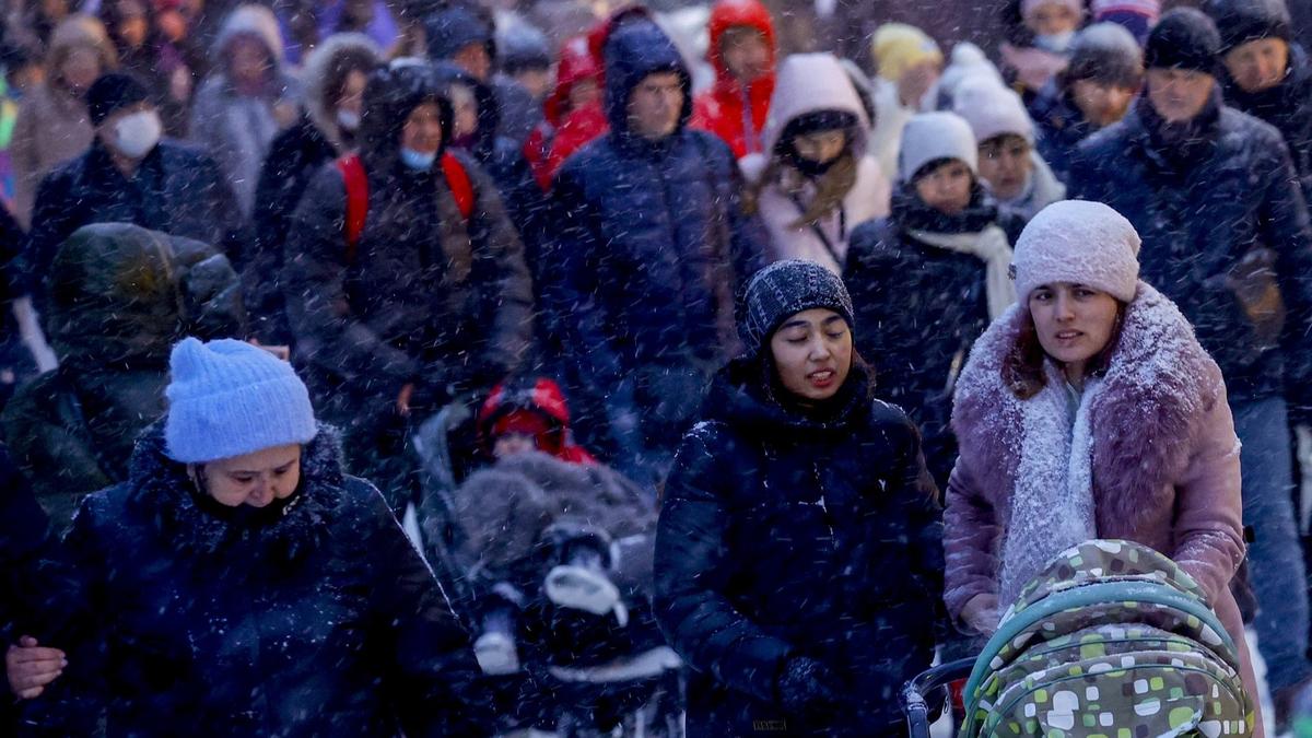 «В общем — человеческий, но со свиными компонентами»