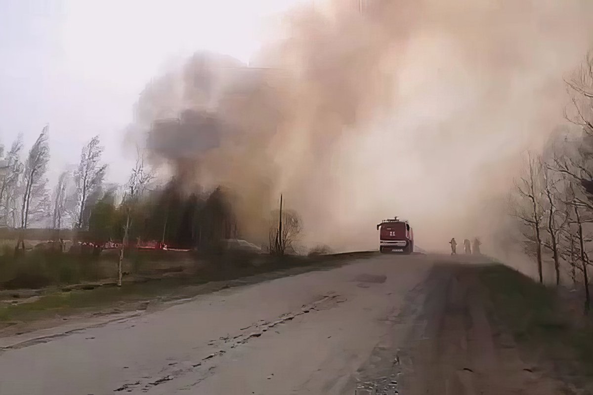 Лесной пожар в Смолино в мае 2023 года. Фото: МЧС России