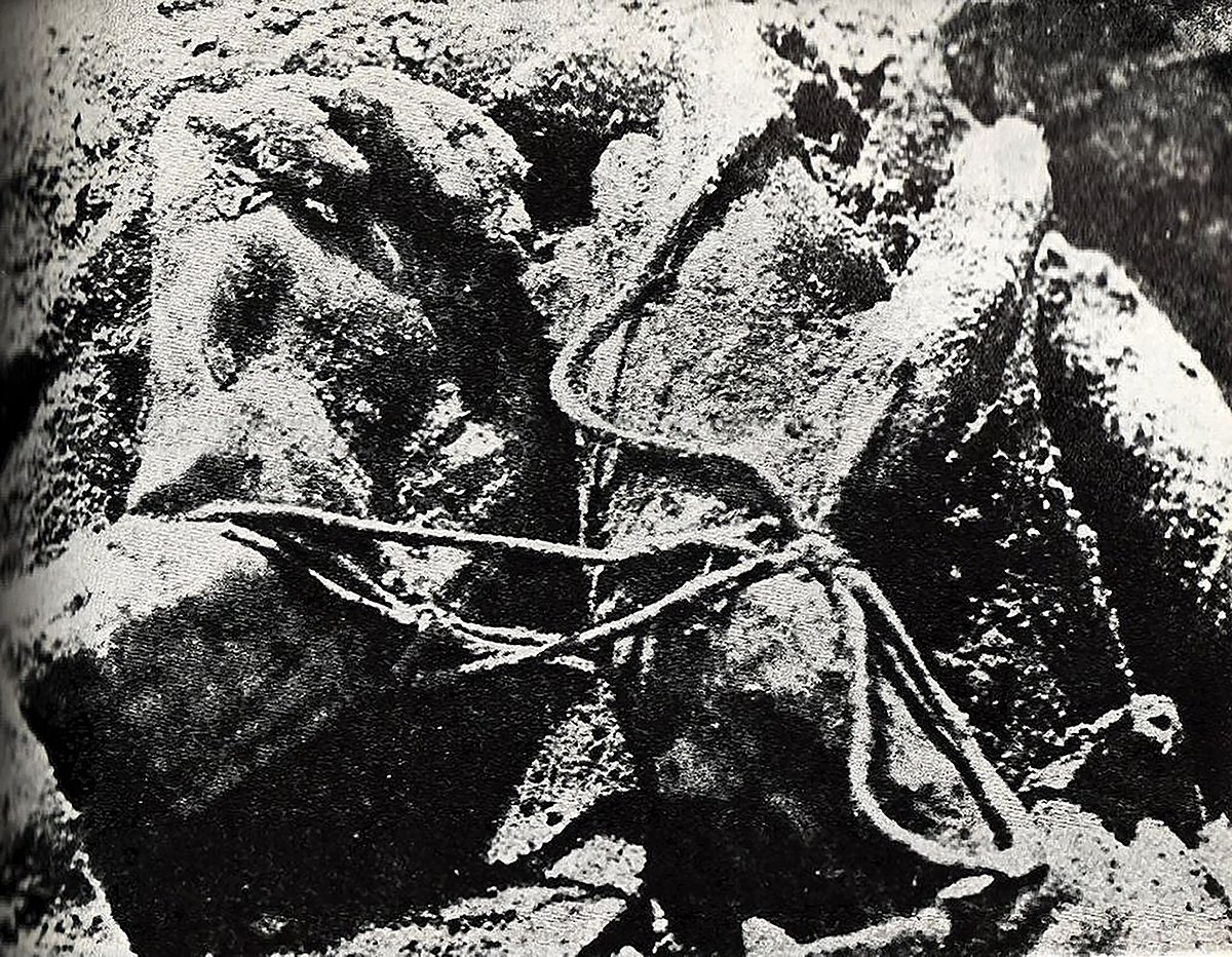 Веревки, которыми были связаны руки убитых в Катыни, 1941. Фото: общественное достояние / Wikipedia