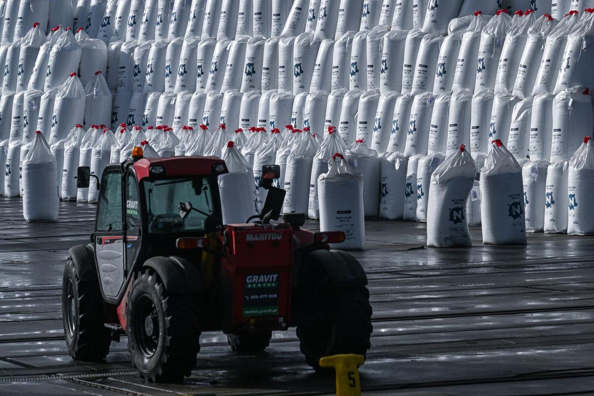 Мешки с удобрениями от польской группы Azoty на погрузочной площадке порта Гданьск, Польша. Фото: Omar Marques / Getty Images