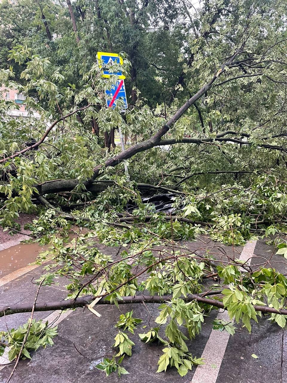 Фото: прокуратура Москвы
