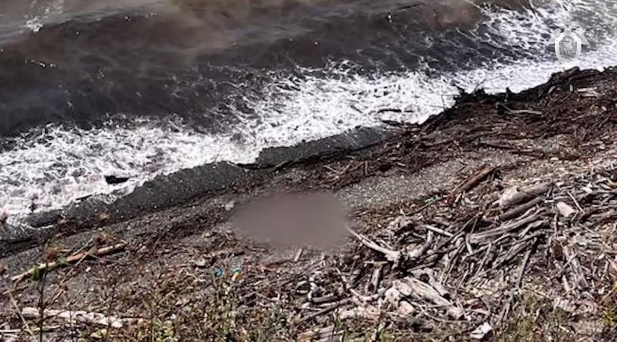 Фото: СУ СКР по Краснодарскому краю